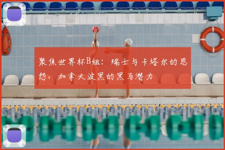 聚焦世界杯B组：瑞士与卡塔尔的恩怨，加拿大波黑的黑马潜力